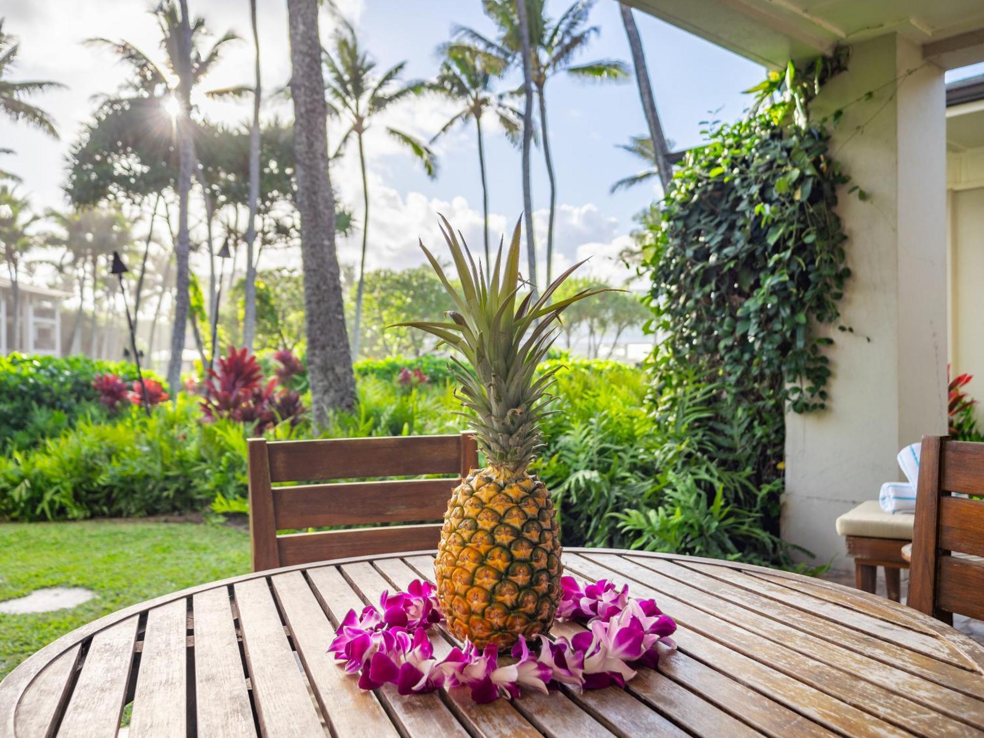 Ocean At Turtle Bay Villa