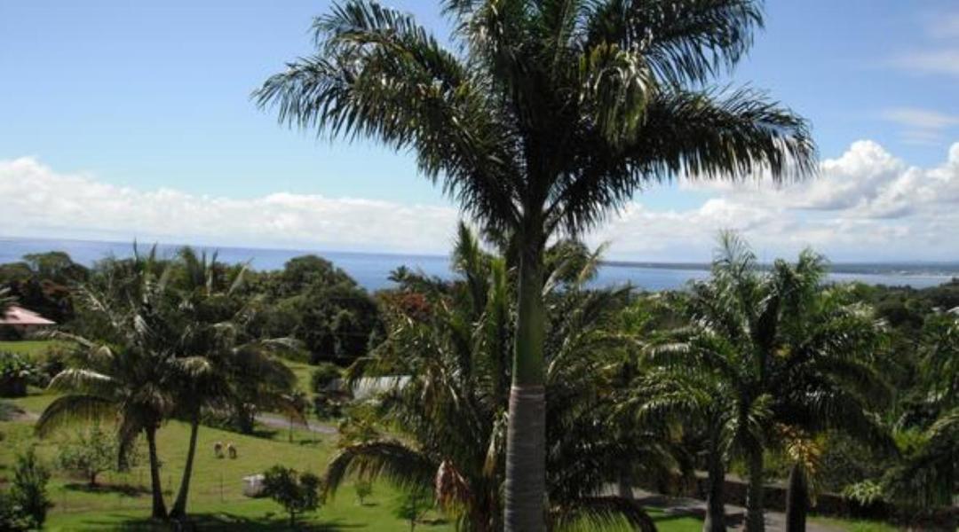 Island Goode'S - Luxury Adult Only Accommodation Near Hilo