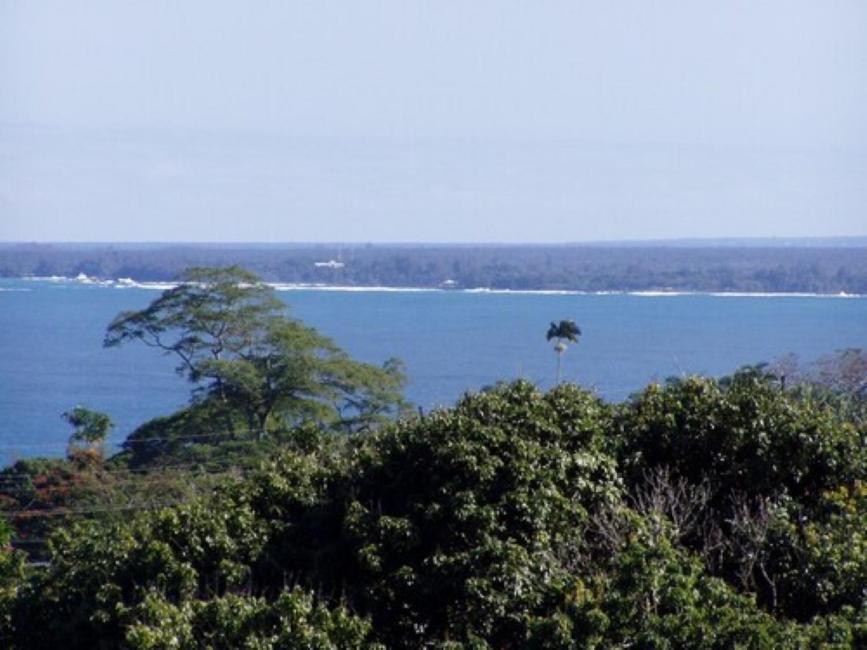 Guest house Island Goode'S - Luxury Adult Only Accommodation Near Hilo 4*