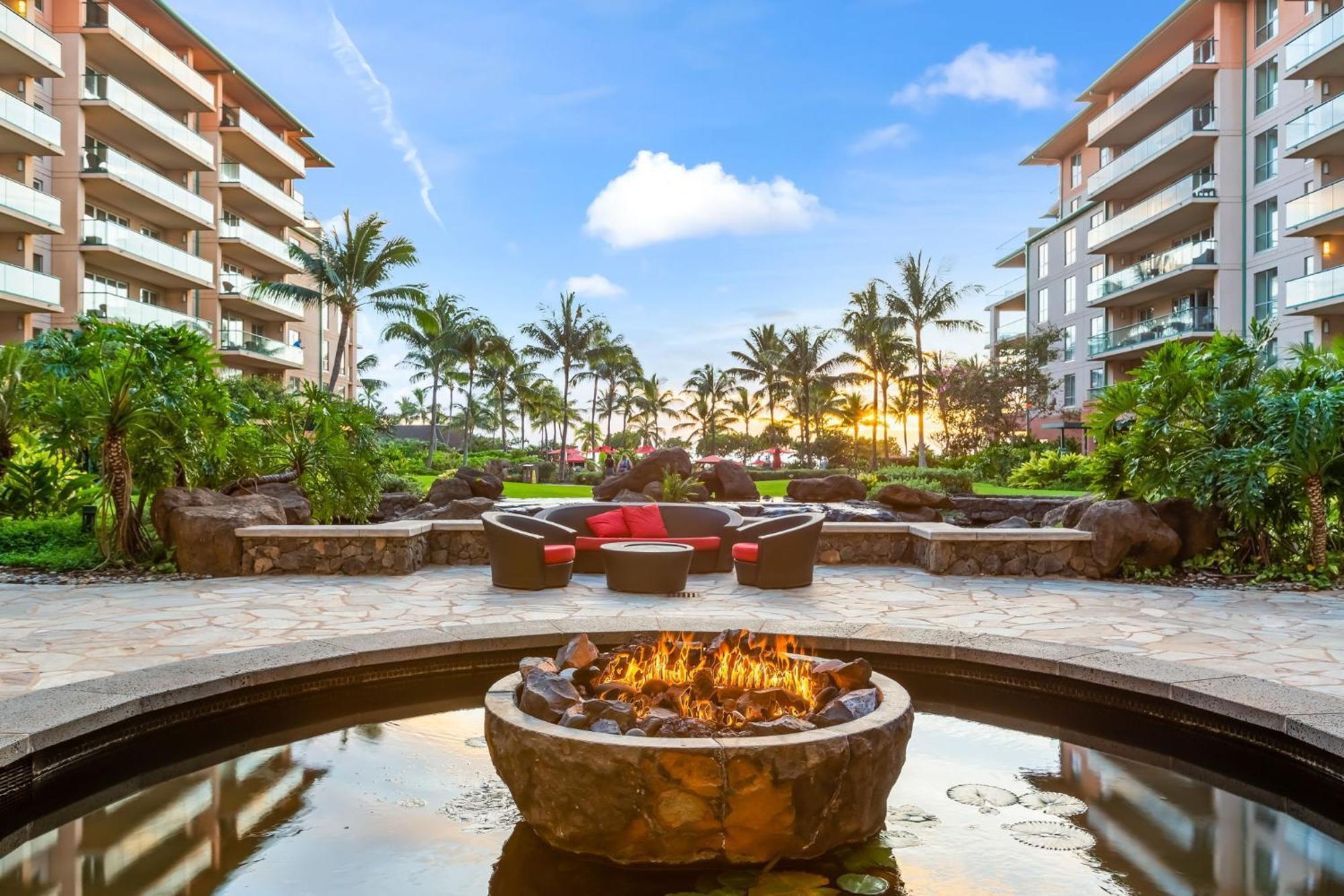 Apartment Extra Large 1br Luxury With Massive Outdoor Space & Balcony *