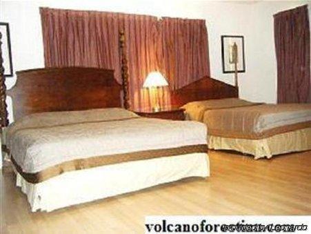 Inn Forest Volcano