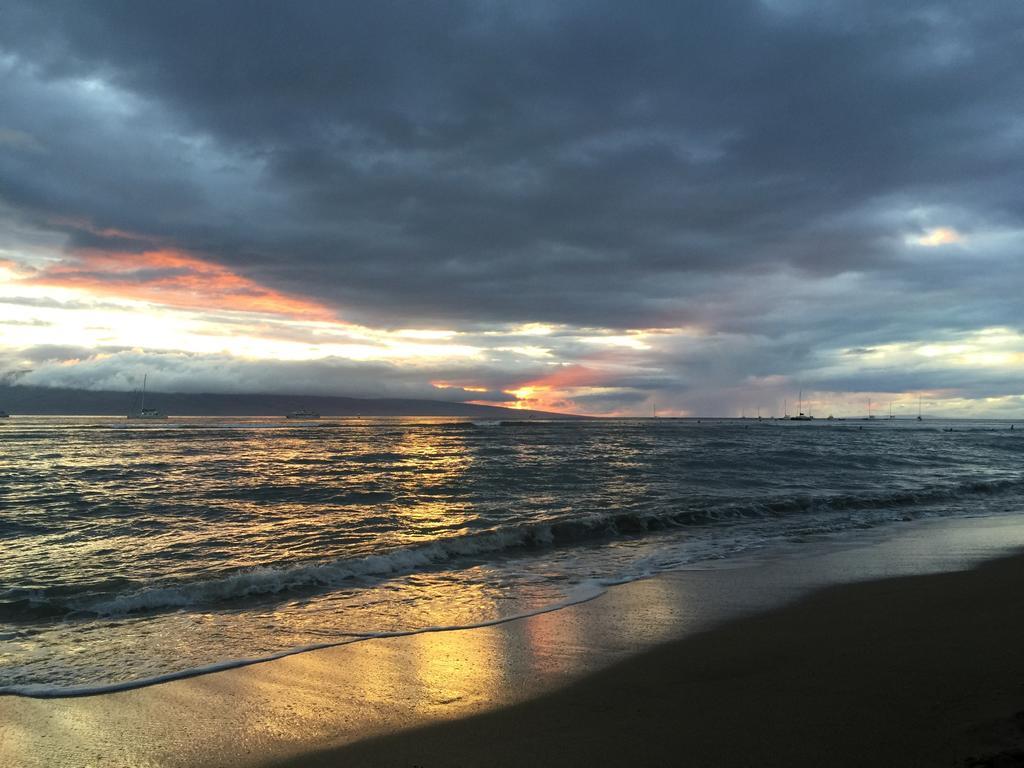 Tiki Beach Hostel-At The Beach In Lahaina Hostel Lahaina
