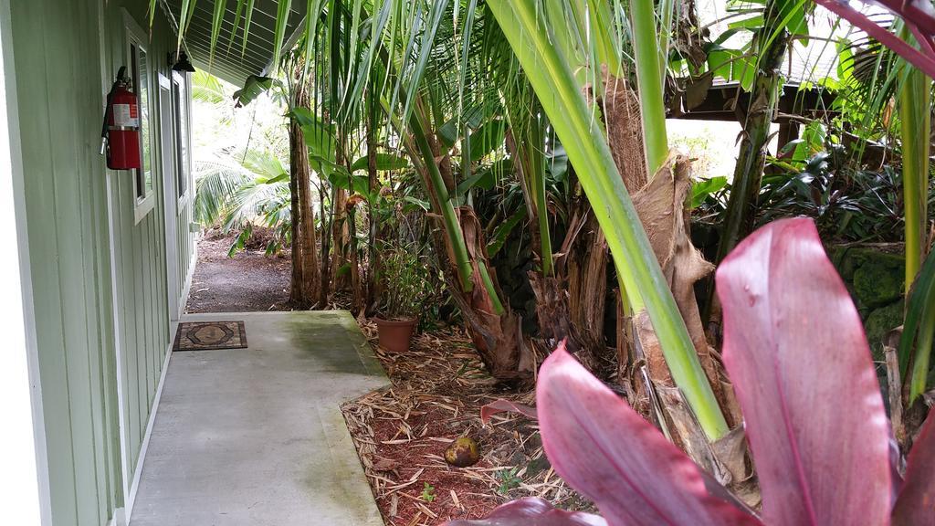 Holiday home Whale House At Kehena Pahoa