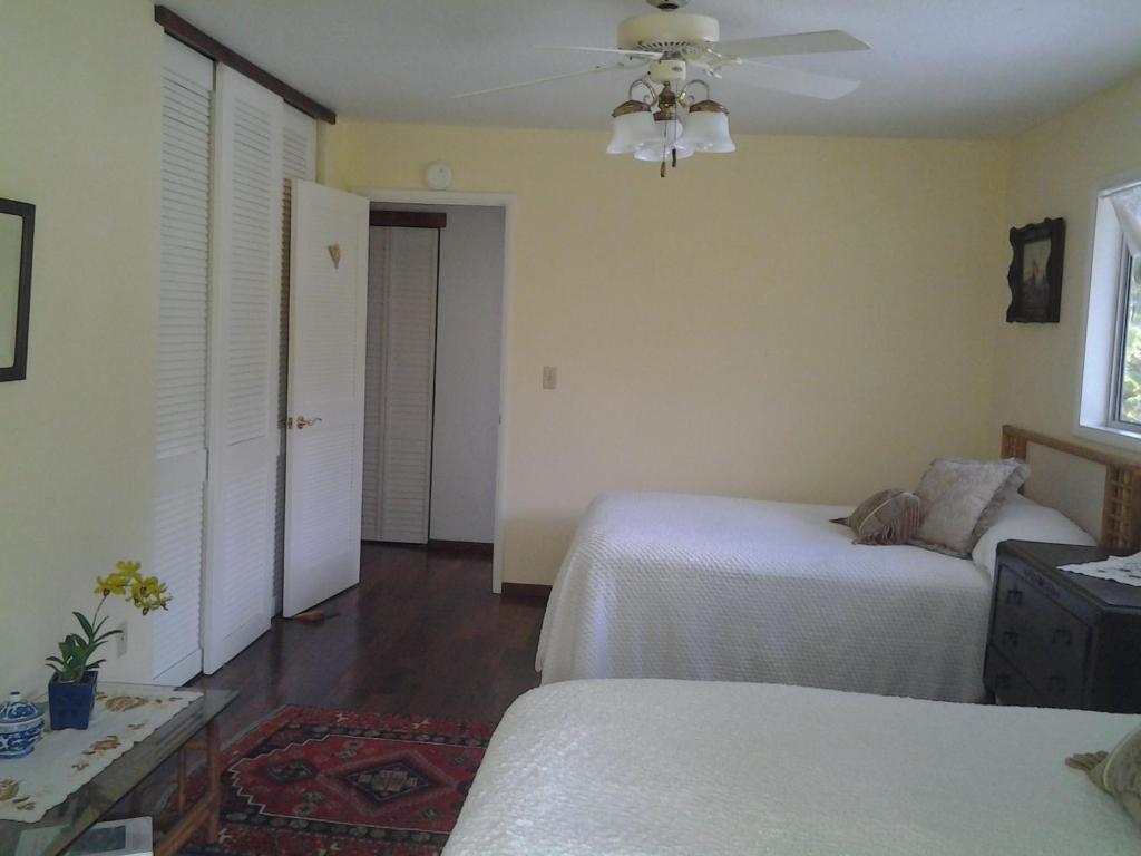 Lava Tree Tropic Bed & Breakfast