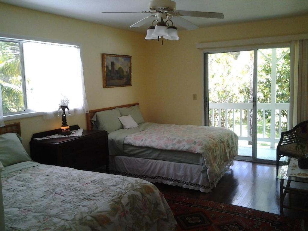 Lava Tree Tropic 4*