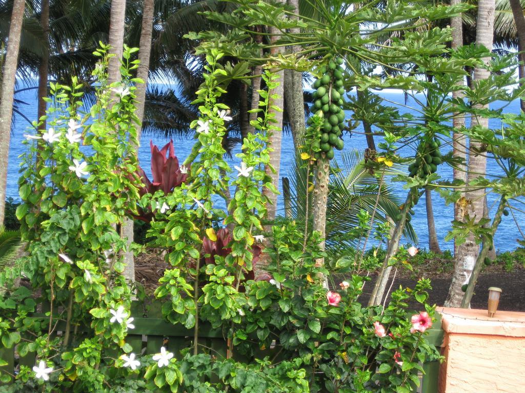 Holiday home Oceanfront Near The Kalapana Lava Flows *