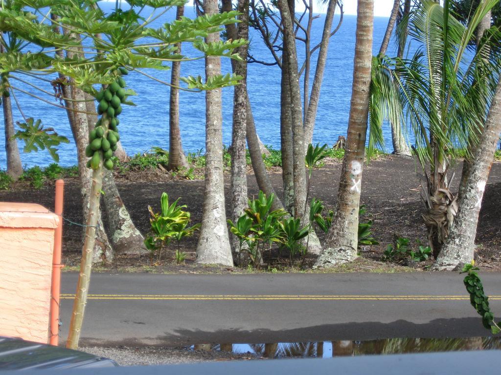 Oceanfront Near The Kalapana Lava Flows Holiday home *