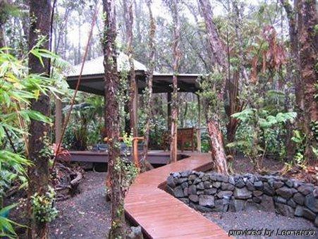 Bed & Breakfast Mist Volcano