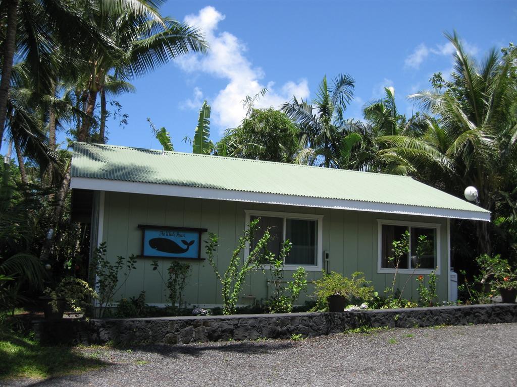 Whale House At Kehena Pahoa