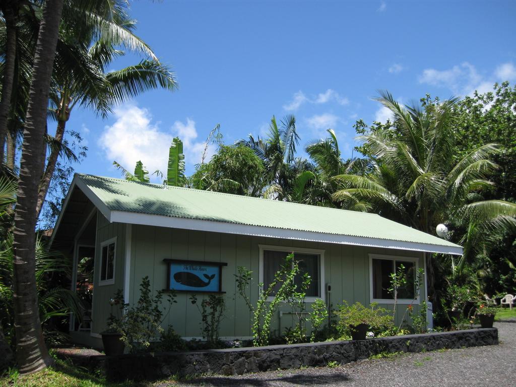Whale House At Kehena Holiday home Pahoa