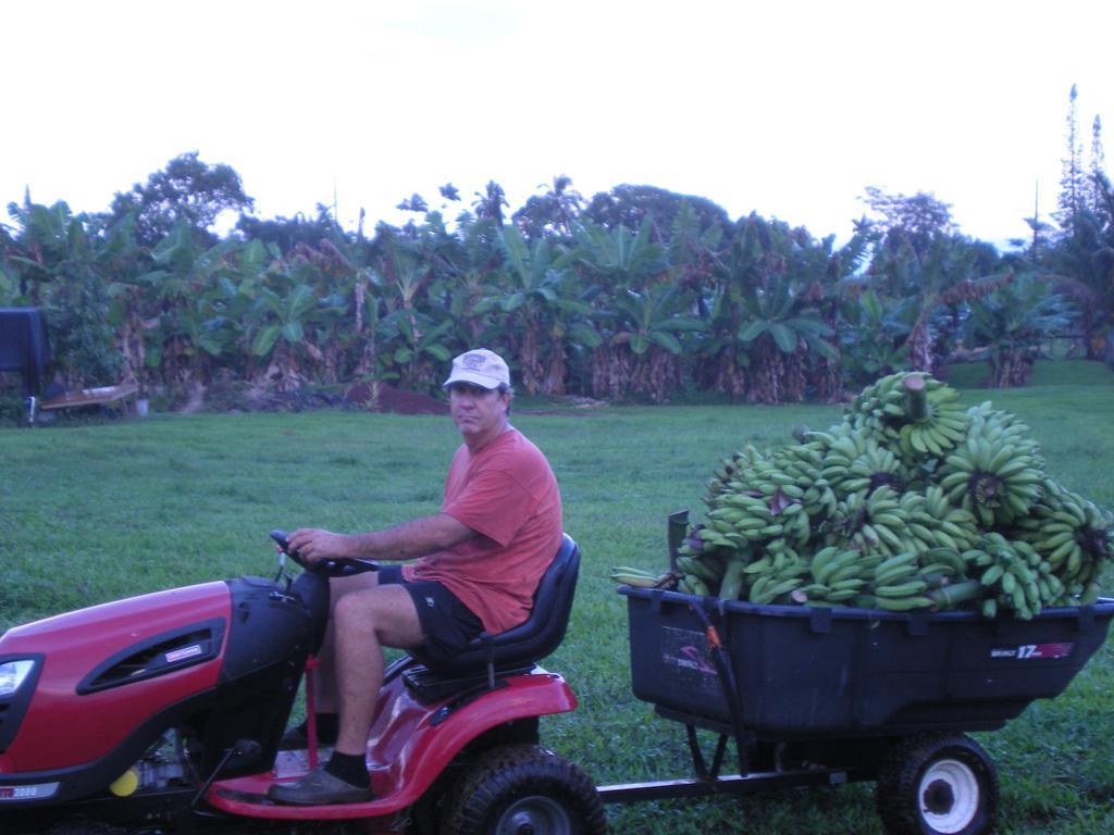 Island Goode'S - Luxury Adult Only Accommodation Near Hilo Guest house Papaikou