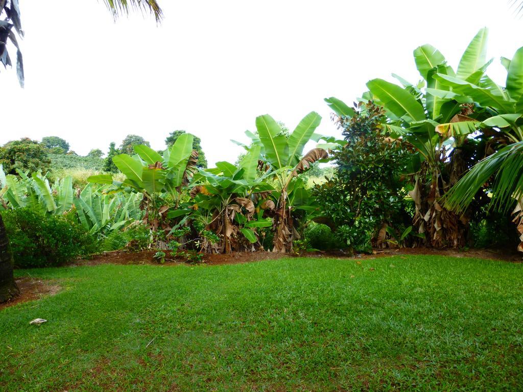 Guest house Island Goode'S - Luxury Adult Only Accommodation Near Hilo