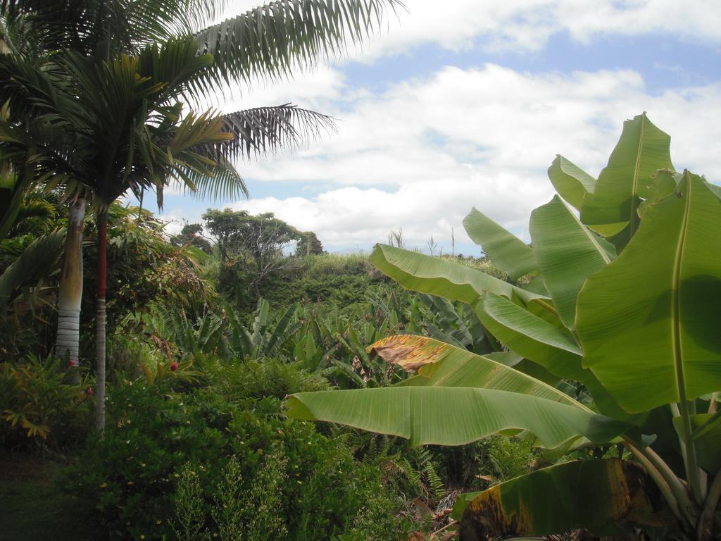 Guest house Island Goode'S - Luxury Adult Only Accommodation Near Hilo
