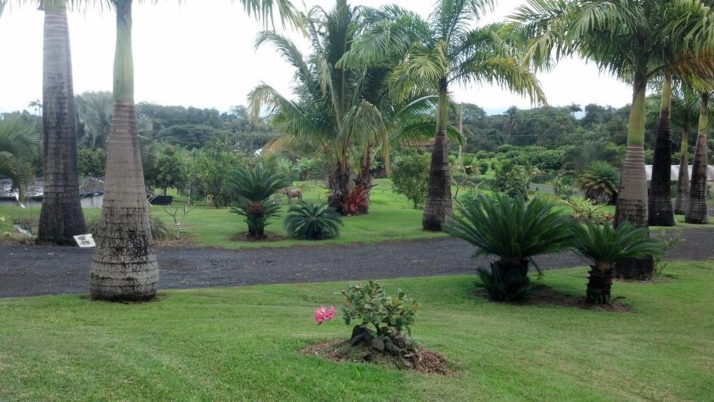 Island Goode'S - Luxury Adult Only Accommodation Near Hilo 4*