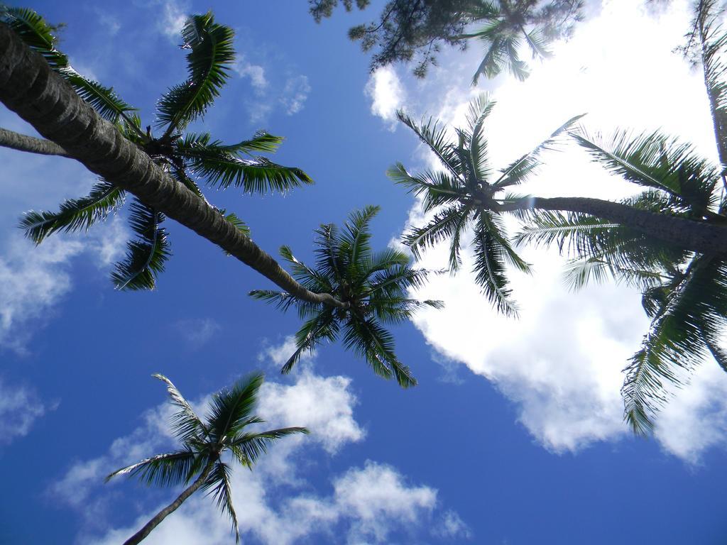 Island Goode'S - Luxury Adult Only Accommodation Near Hilo Guest house
