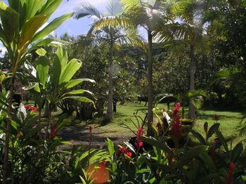 Bed & Breakfast Lava Tree Tropic