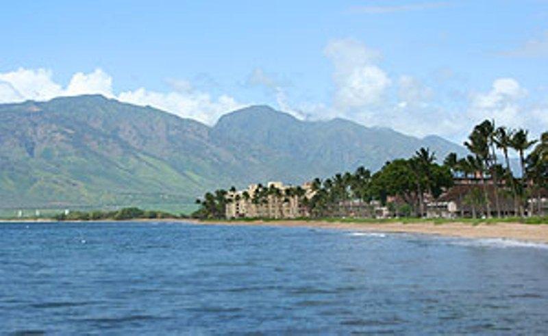 Ma'alaea Surf