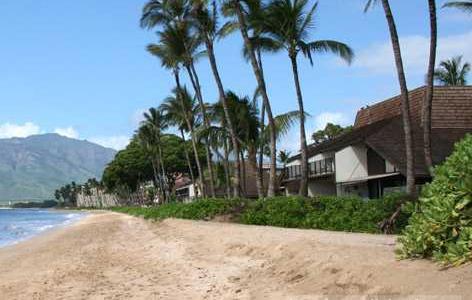 Ma'alaea Surf