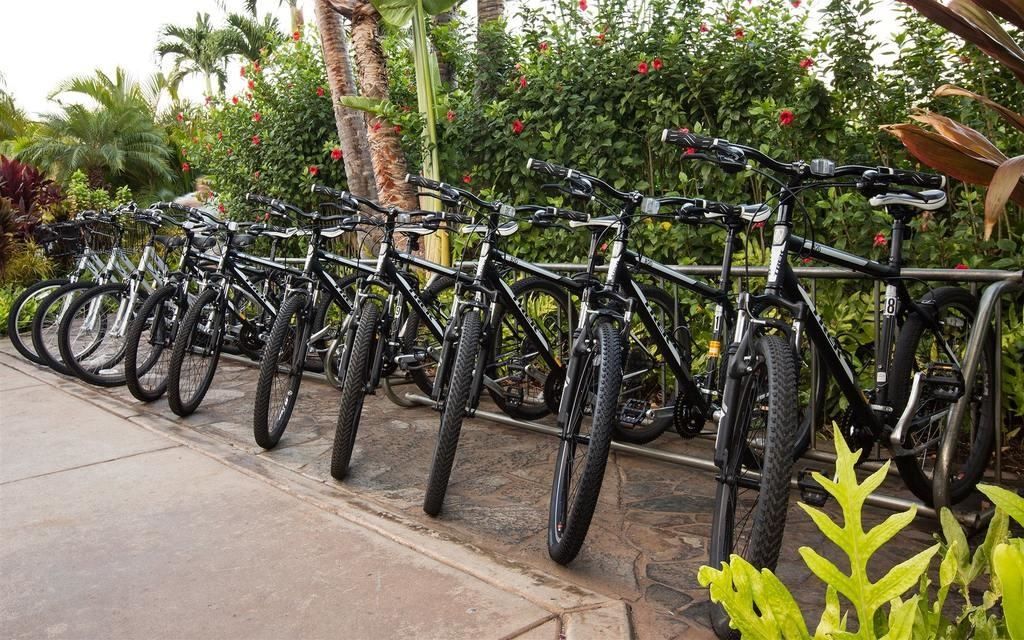 Hotel Maui Coast 3*