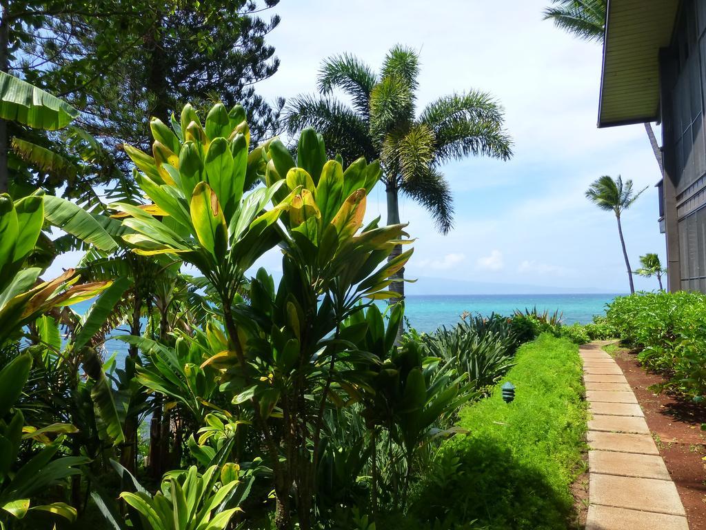 Mahina Surf Aparthotel
