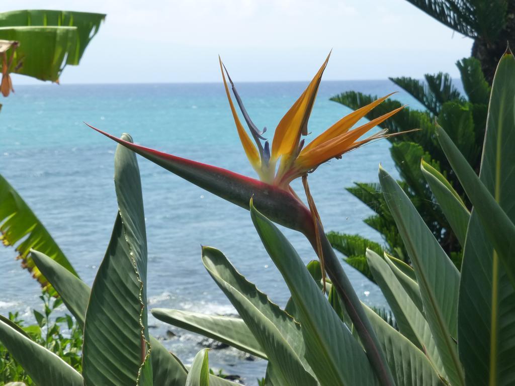 Aparthotel Mahina Surf 4*
