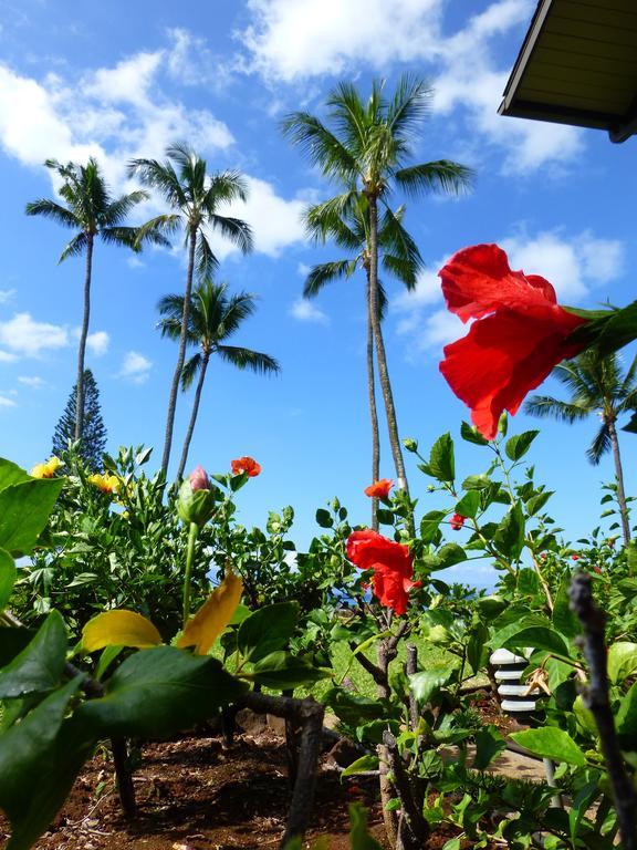 Mahina Surf 4* Lahaina