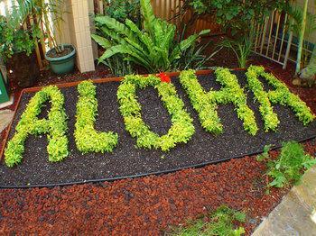 Kaleialoha