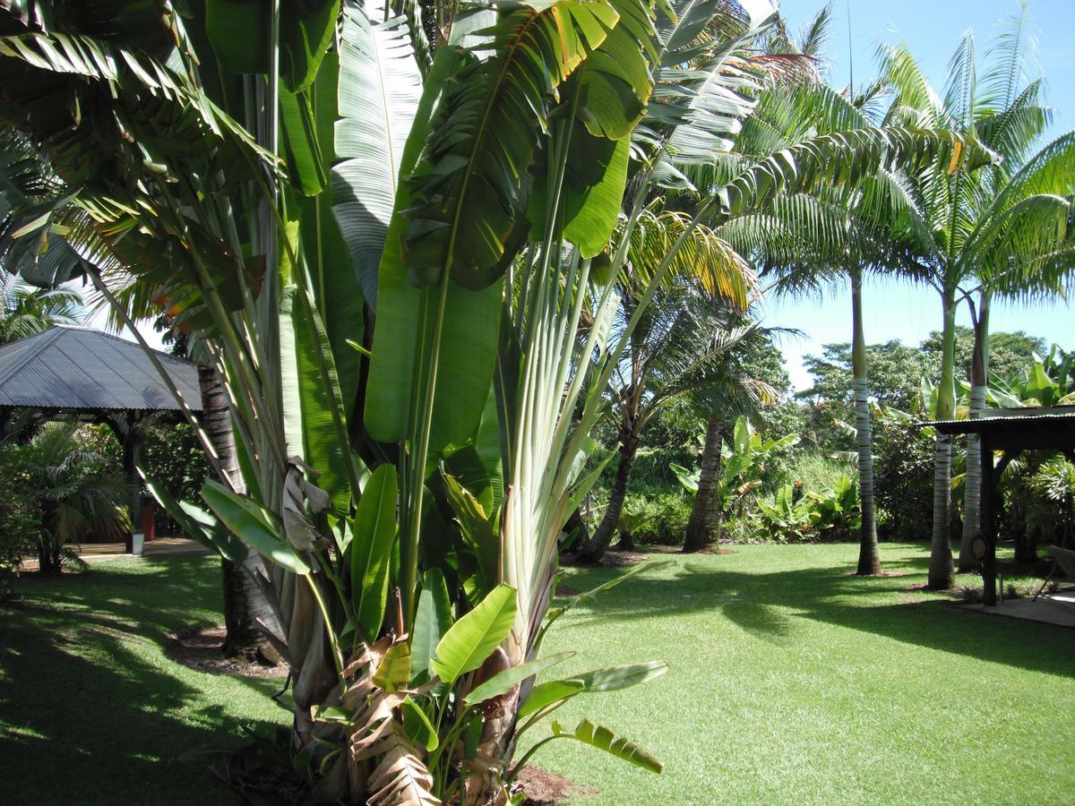 Island Goode'S - Luxury Adult Only Accommodation Near Hilo