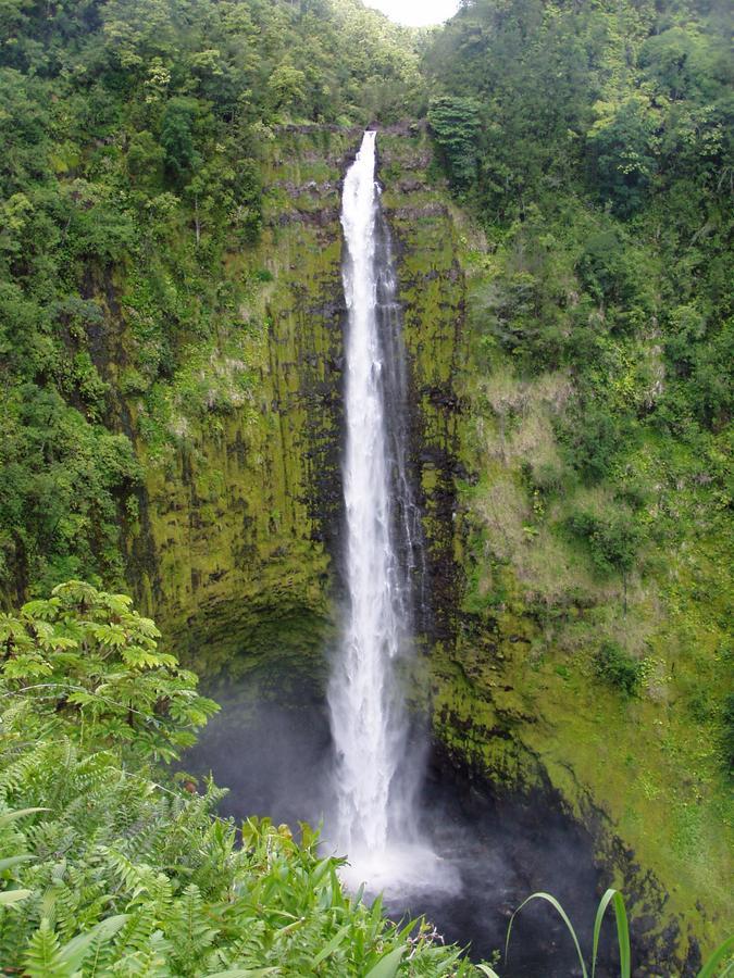Island Goode'S - Luxury Adult Only Accommodation Near Hilo Guest house 4*