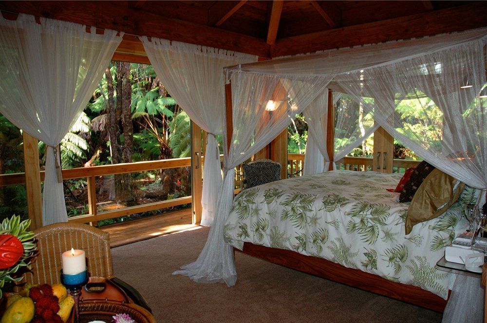 At The Craters Edge (adults Only) Guest house
