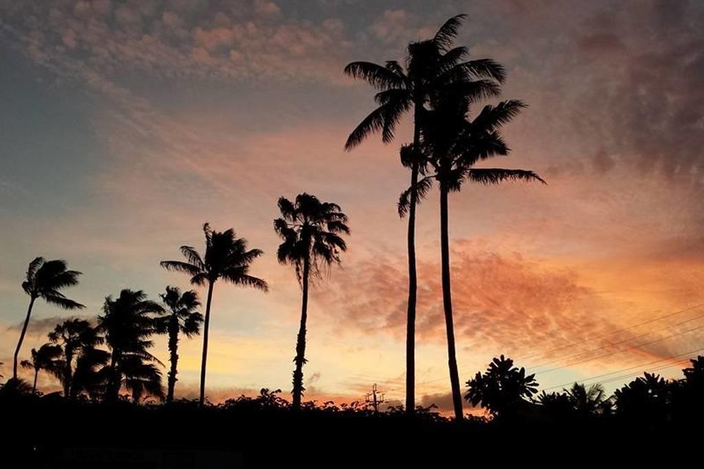 Paradise Palms Bed & Breakfast 5*
