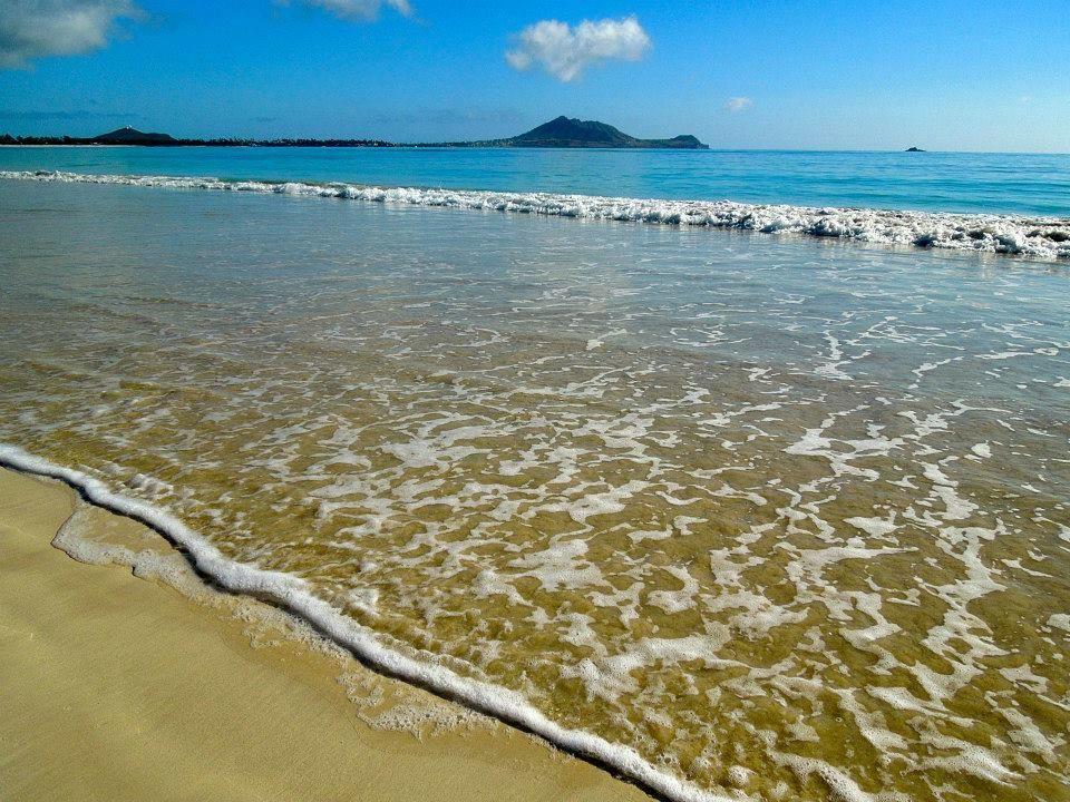 Paradise Palms Bed & Breakfast 5*