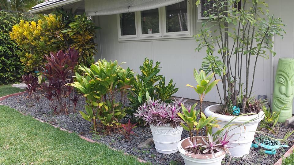 Bed & Breakfast Paradise Palms