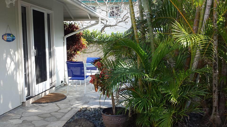 Paradise Palms