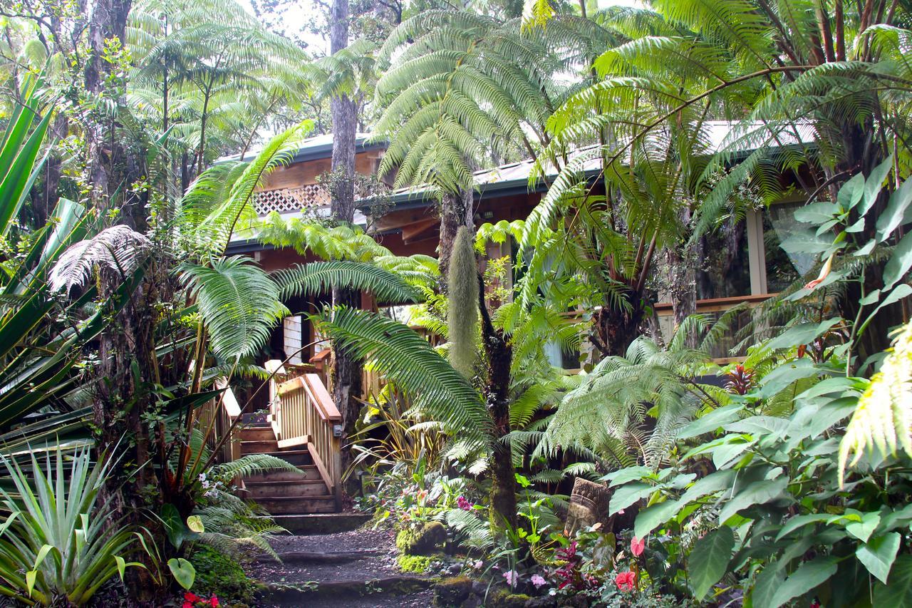 At The Craters Edge (adults Only) Guest house Volcano