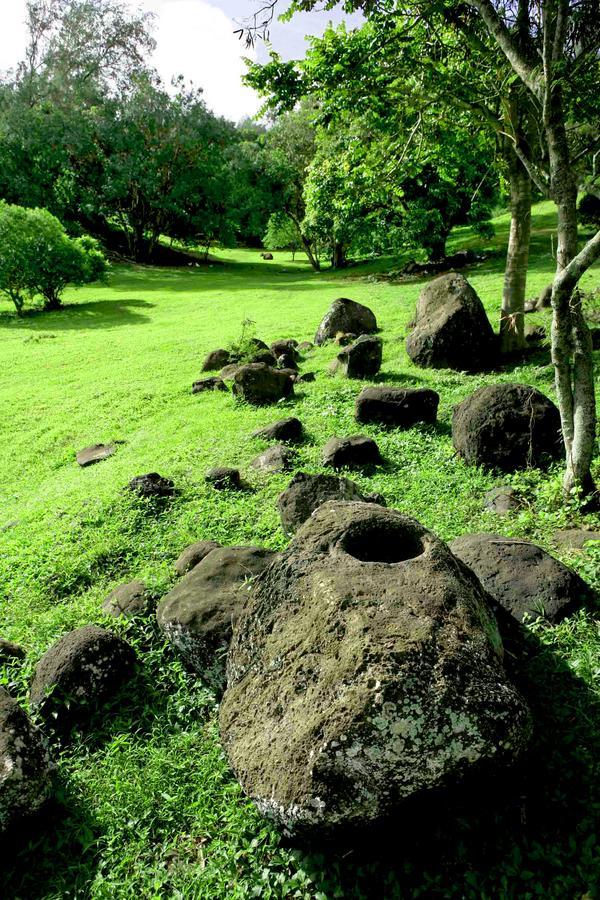 Hawaii Island Retreat At Ahu Pohaku Ho'omaluhia Kapaau