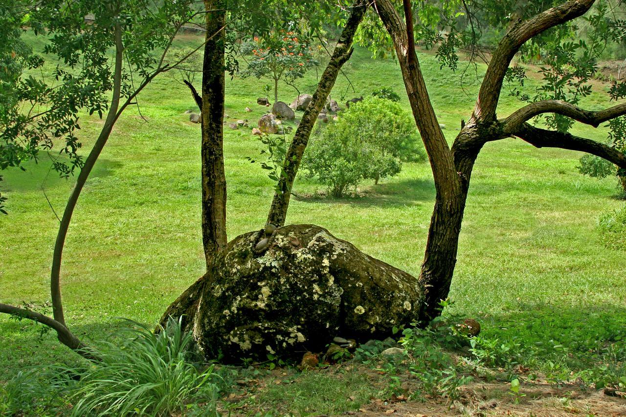 Hawaii Island Retreat At Ahu Pohaku Ho'omaluhia * Kapaau