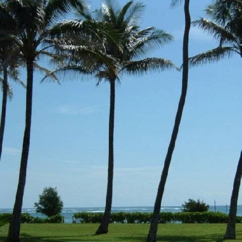 Fairway Villas Honolulu