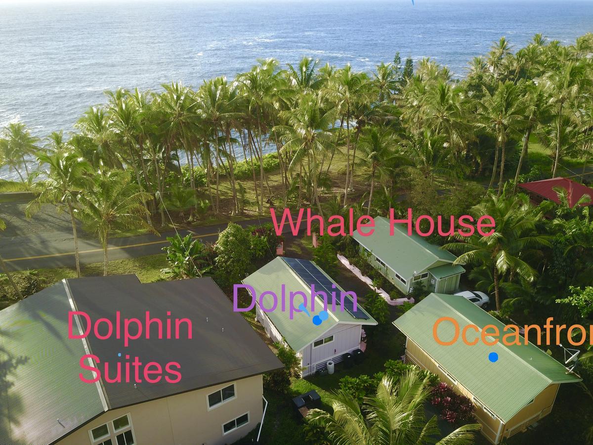 Whale House At Kehena
