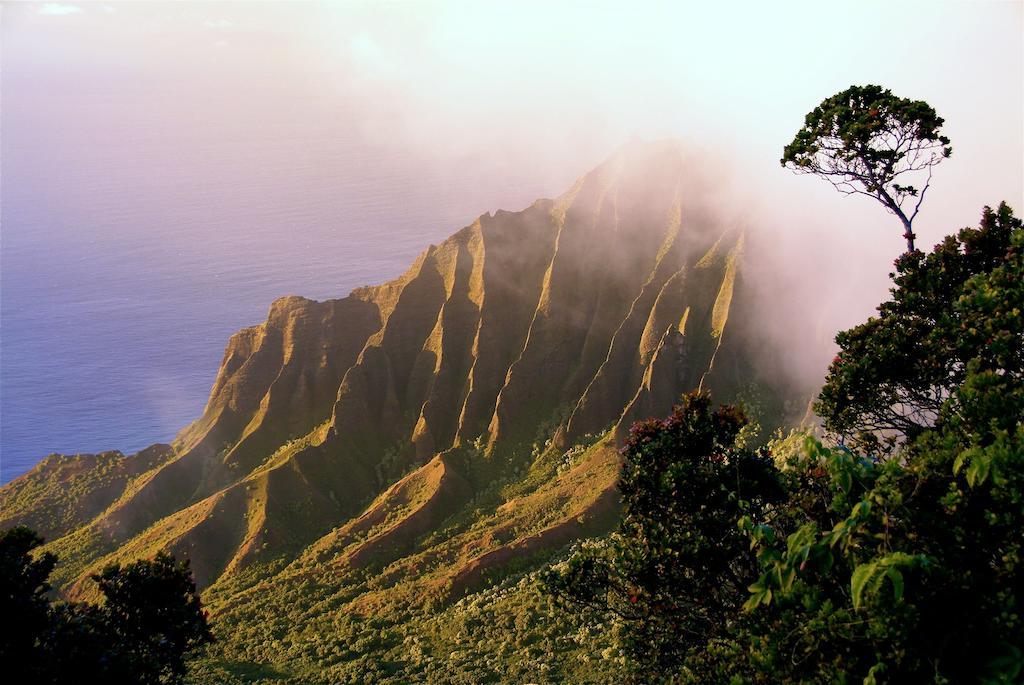 Hotel The West Kauai