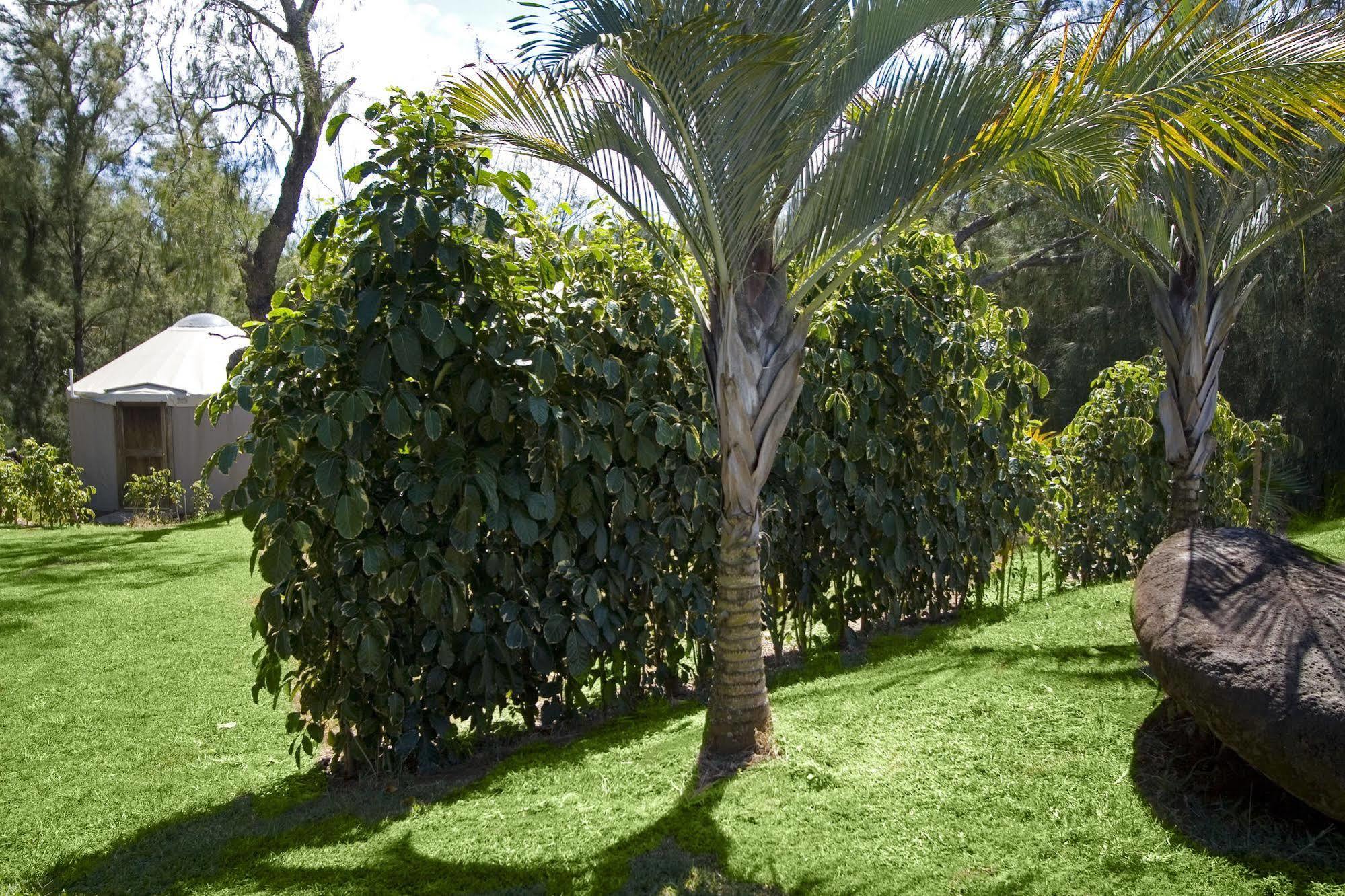 Hawaii Island Retreat At Ahu Pohaku Ho'omaluhia * Kapaau