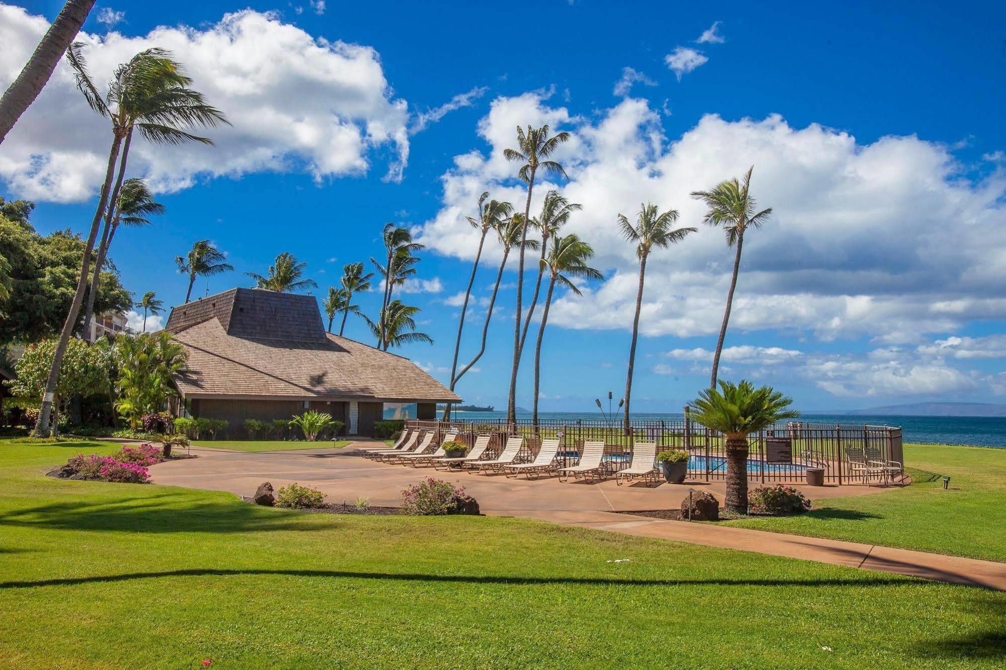 Ma'alaea Surf
