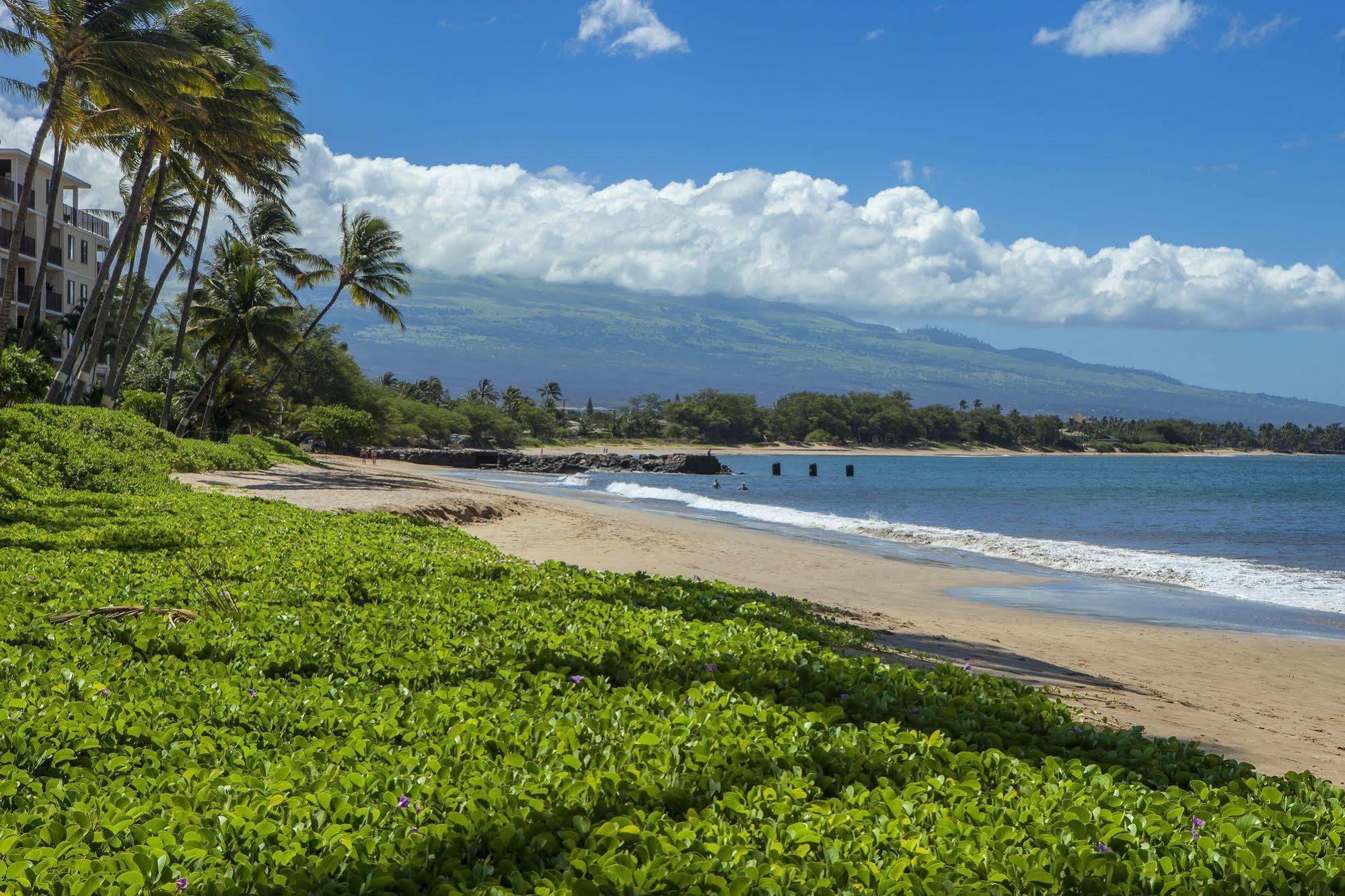 Ma'alaea Surf 4*