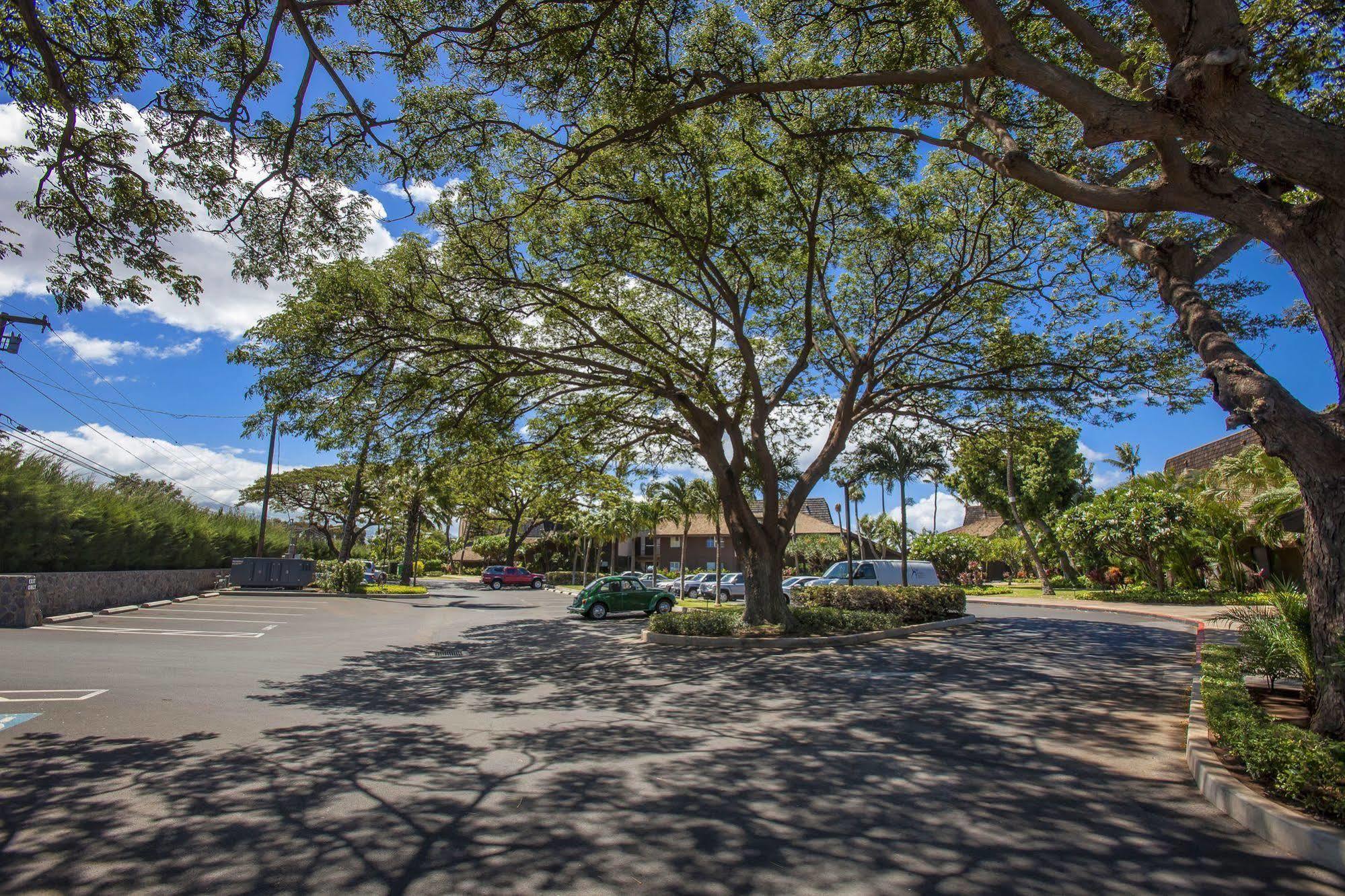 Aparthotel Ma'alaea Surf Kihei