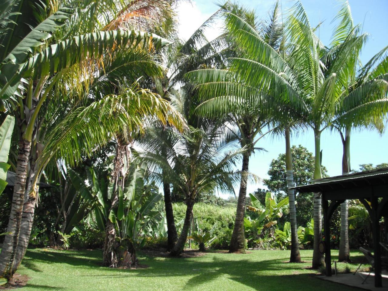 Island Goode'S - Luxury Adult Only Accommodation Near Hilo Papaikou
