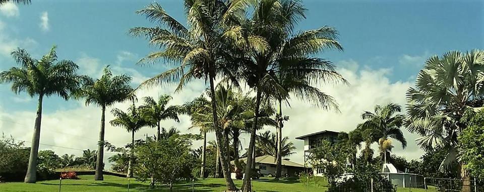 Island Goode'S - Luxury Adult Only Accommodation Near Hilo 4* Papaikou