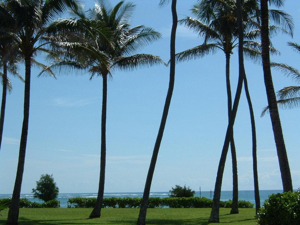 Fairway Villas Honolulu