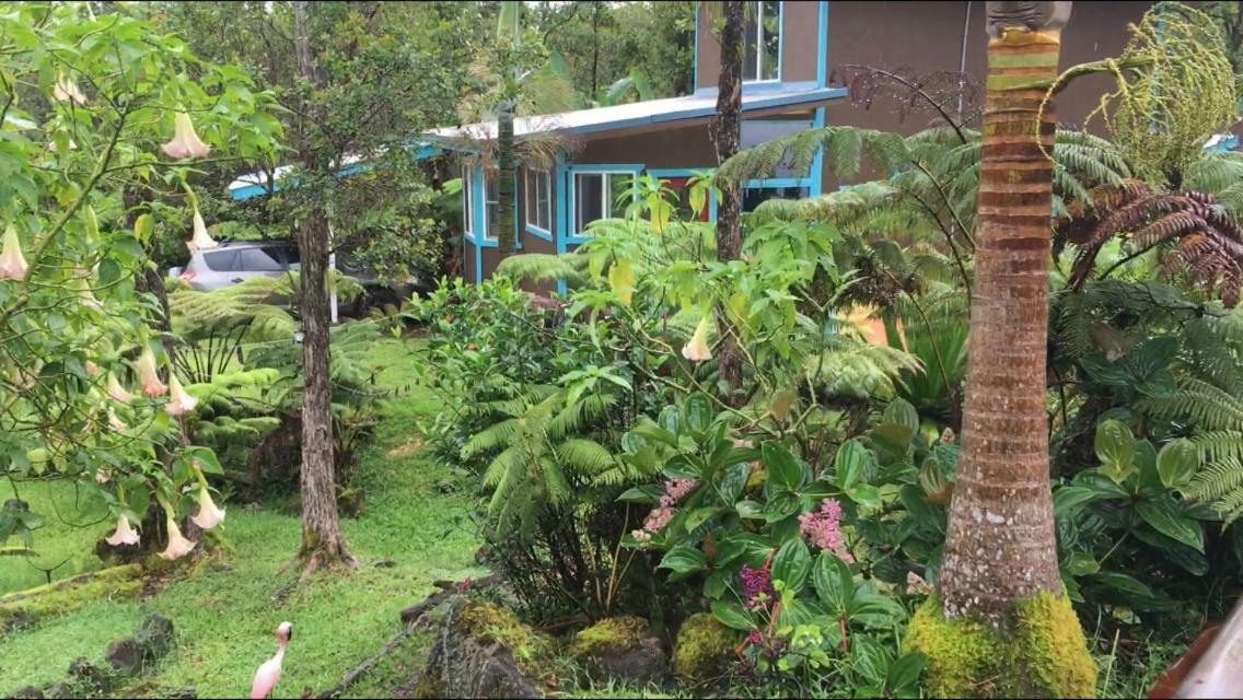 Ixchel Hawaii Holiday home *