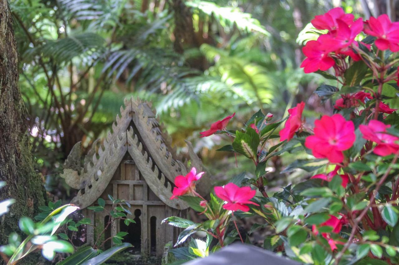 At The Craters Edge (adults Only) Guest house 4*