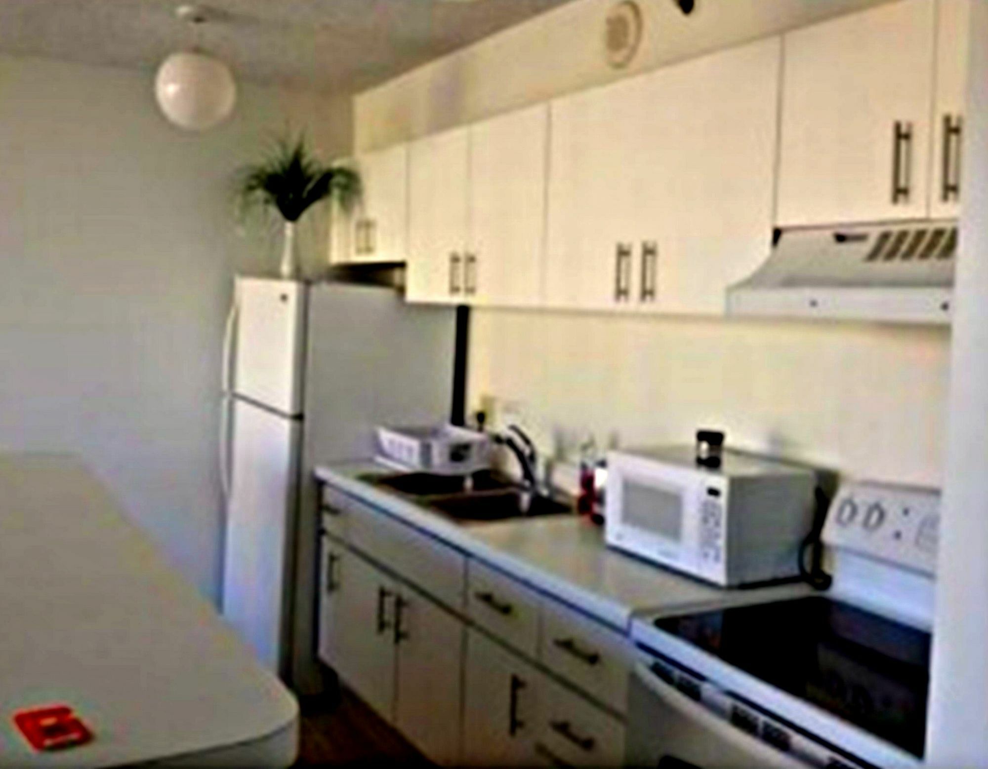 Apartment Waikiki Banyan Apt, Walk To The Beach, Free Wi-fi & Parking